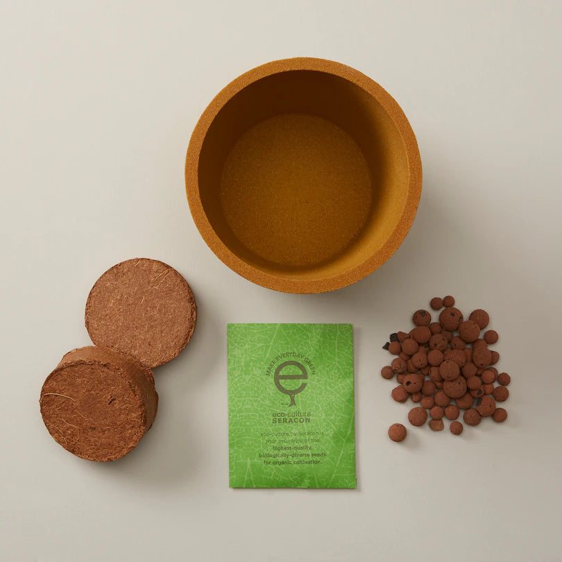 DWARF GOLDENROD GROW KIT