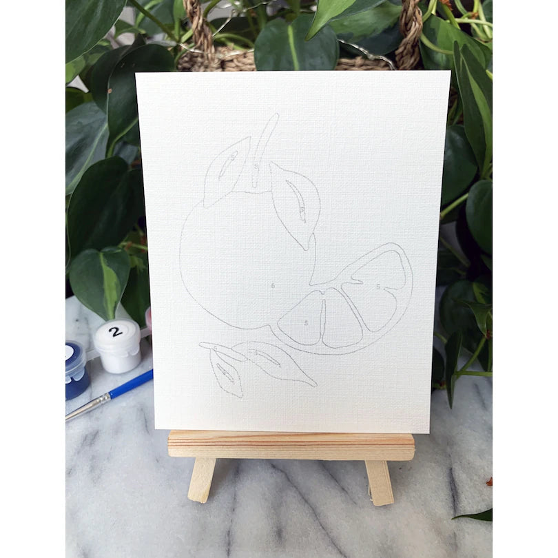 Summer Watermelon Paint By Number Kit 4-Pack