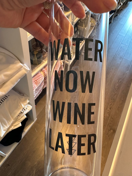 Water Now Wine Later Glass Travel Bottle