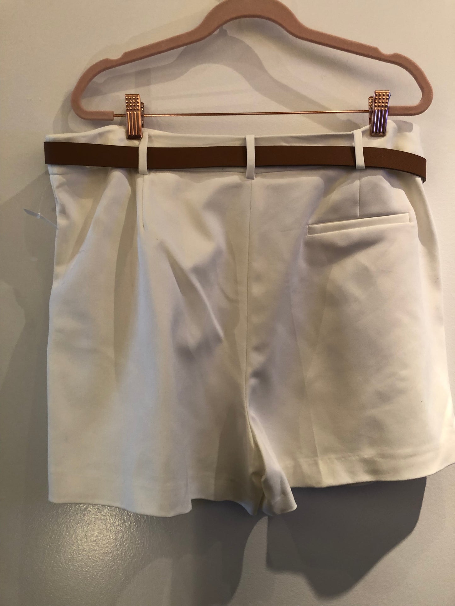 Zara Shorts with Belt Sz XXL BNWT