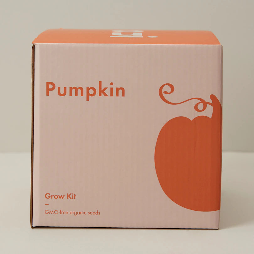 INDOOR MINI PUMPKIN GROW KIT