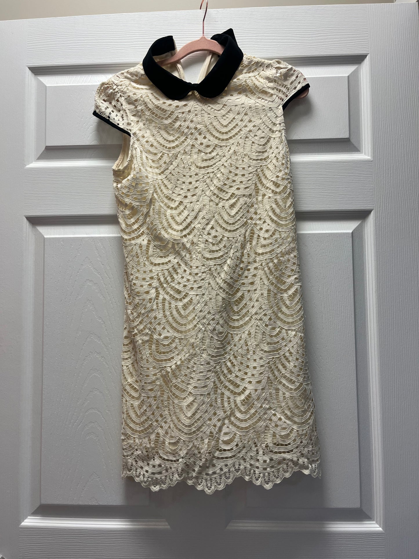 Zara Lace Peter Pan Dress Sz S