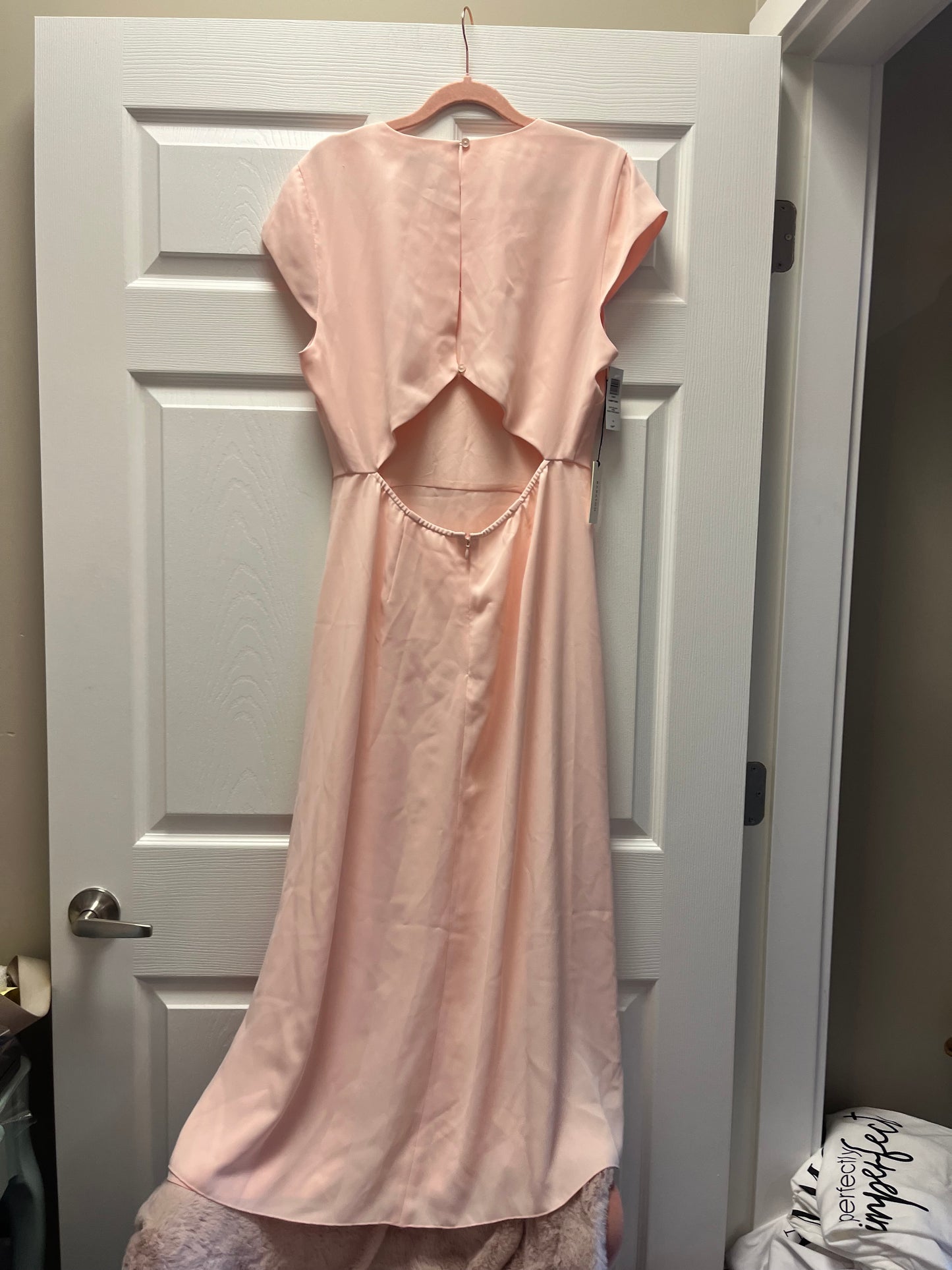 Babaton Hampton Dress Sz 10 Blush NWT