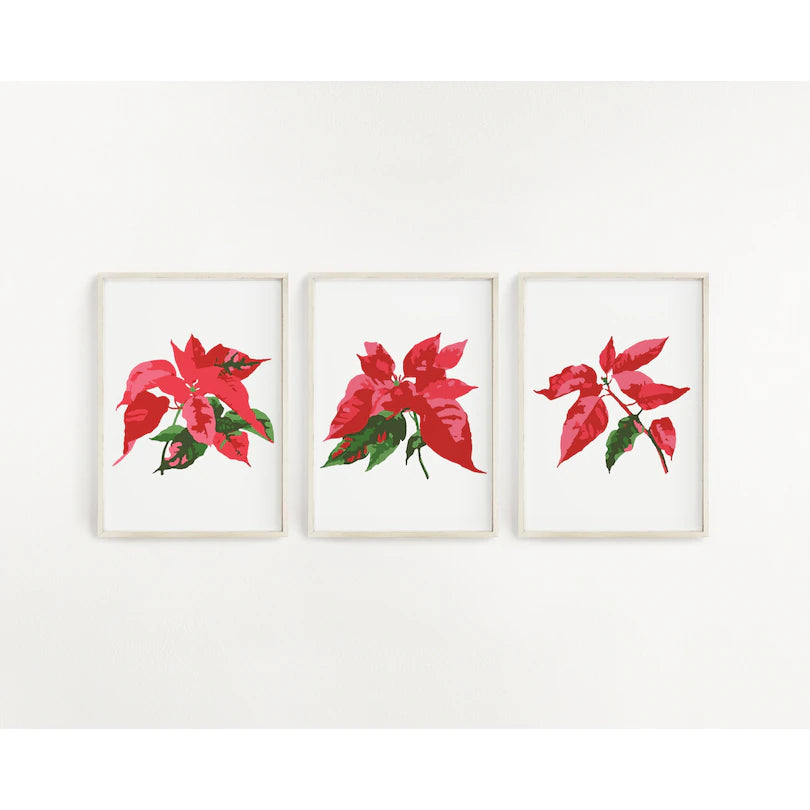 Poinsettia Plants Paint by Number