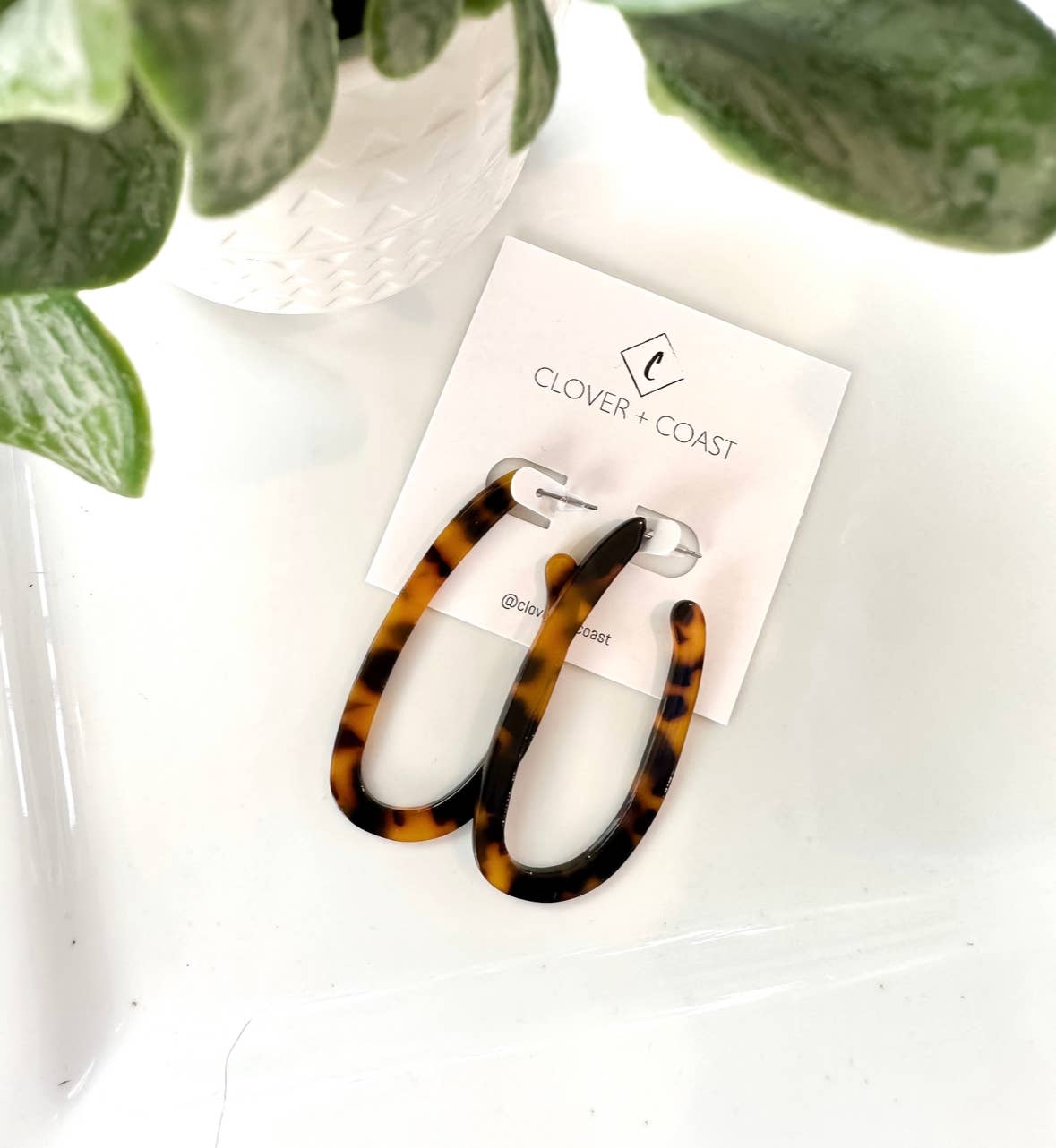 Oval Acetate Hoops Earrings