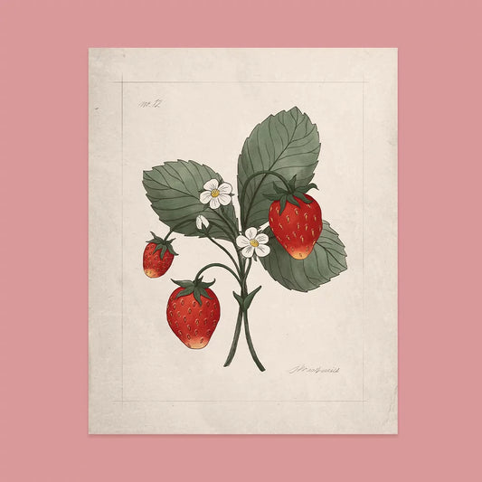 The Jilly Box Wild Strawberry Print