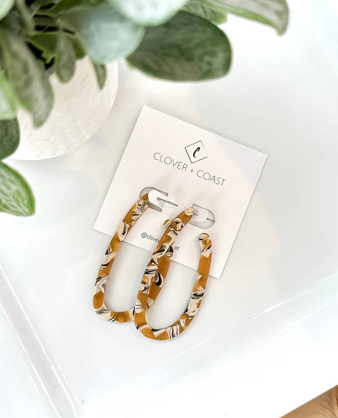 Oval Acetate Hoops Earrings