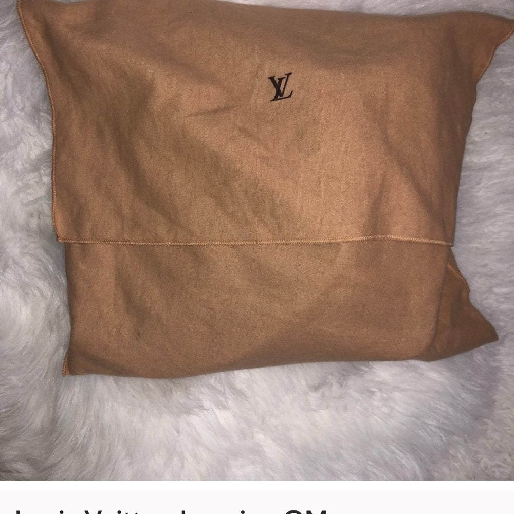 Louis Vuitton Brown and Tan Monogram Tote