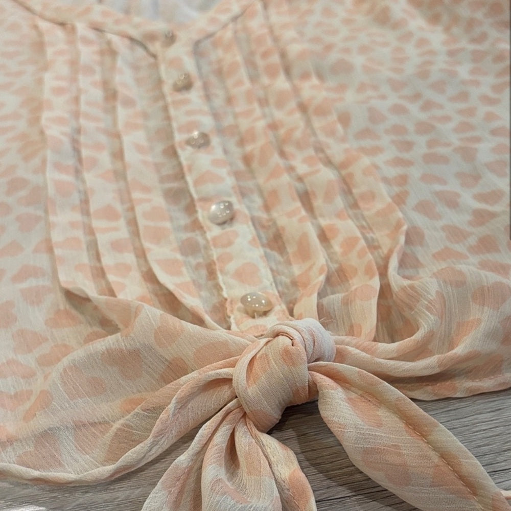 Eyeshadow Peach Sheer Blouse with Tie Front