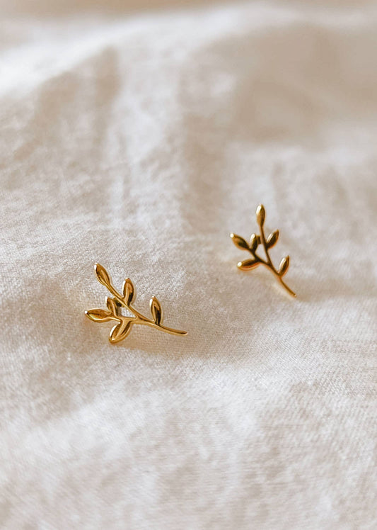Olive branch - gold plated earrings